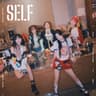 SELF Album Cover