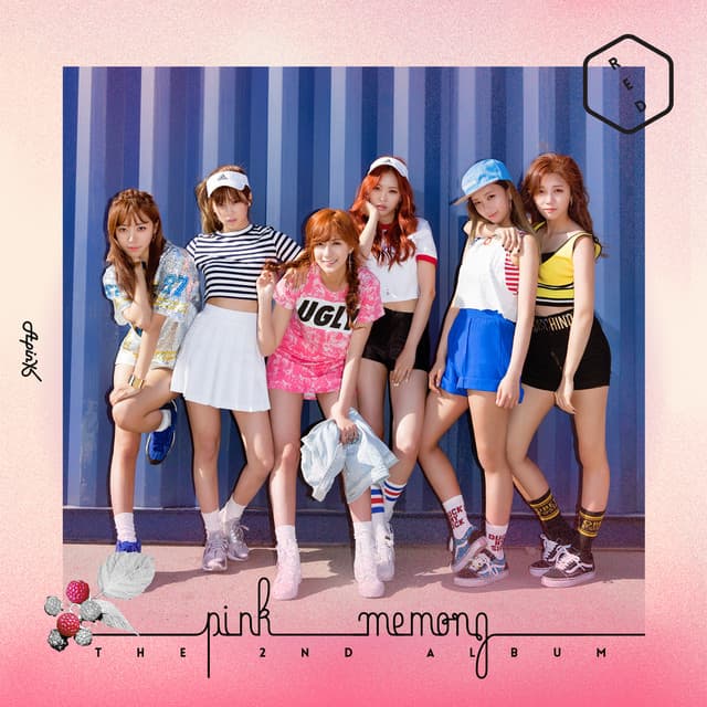 Pink MEMORY Album Cover