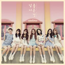 I Like U Too Much Album Cover