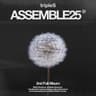 <ASSEMBLE25> Album Cover