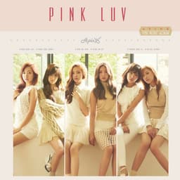 Pink LUV Album Cover