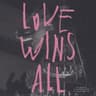 Love wins all Album Cover