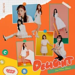 DELIGHT Album Cover